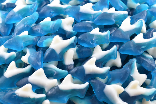 Blue Raspberry Dolphins