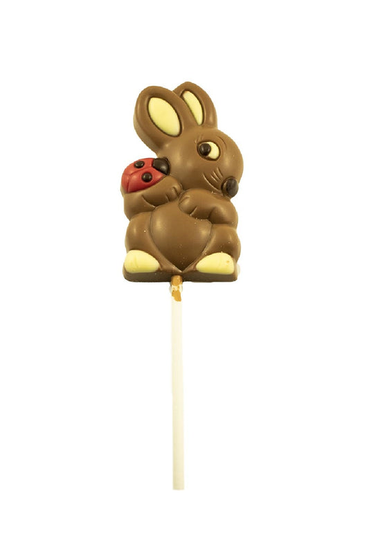 Bunny Ladybug Lollipop 35g