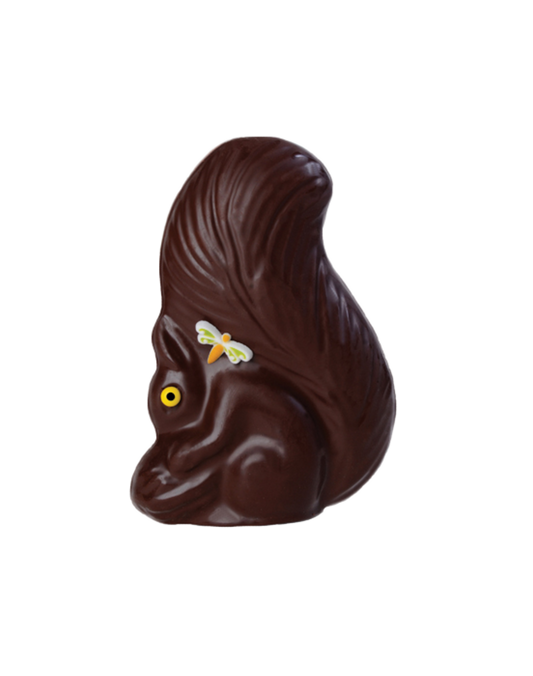 Lulu Milk Chocolate Squirrel 100g