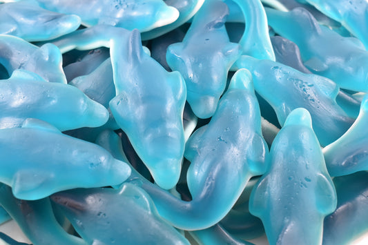 Giant Dolphins 1.2kg