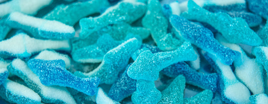 Requins Framboise bleue surette