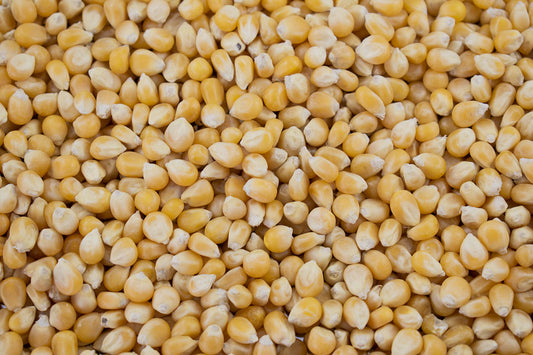 Popcorn