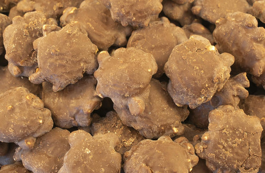Chocolate caramel peanuts turtles